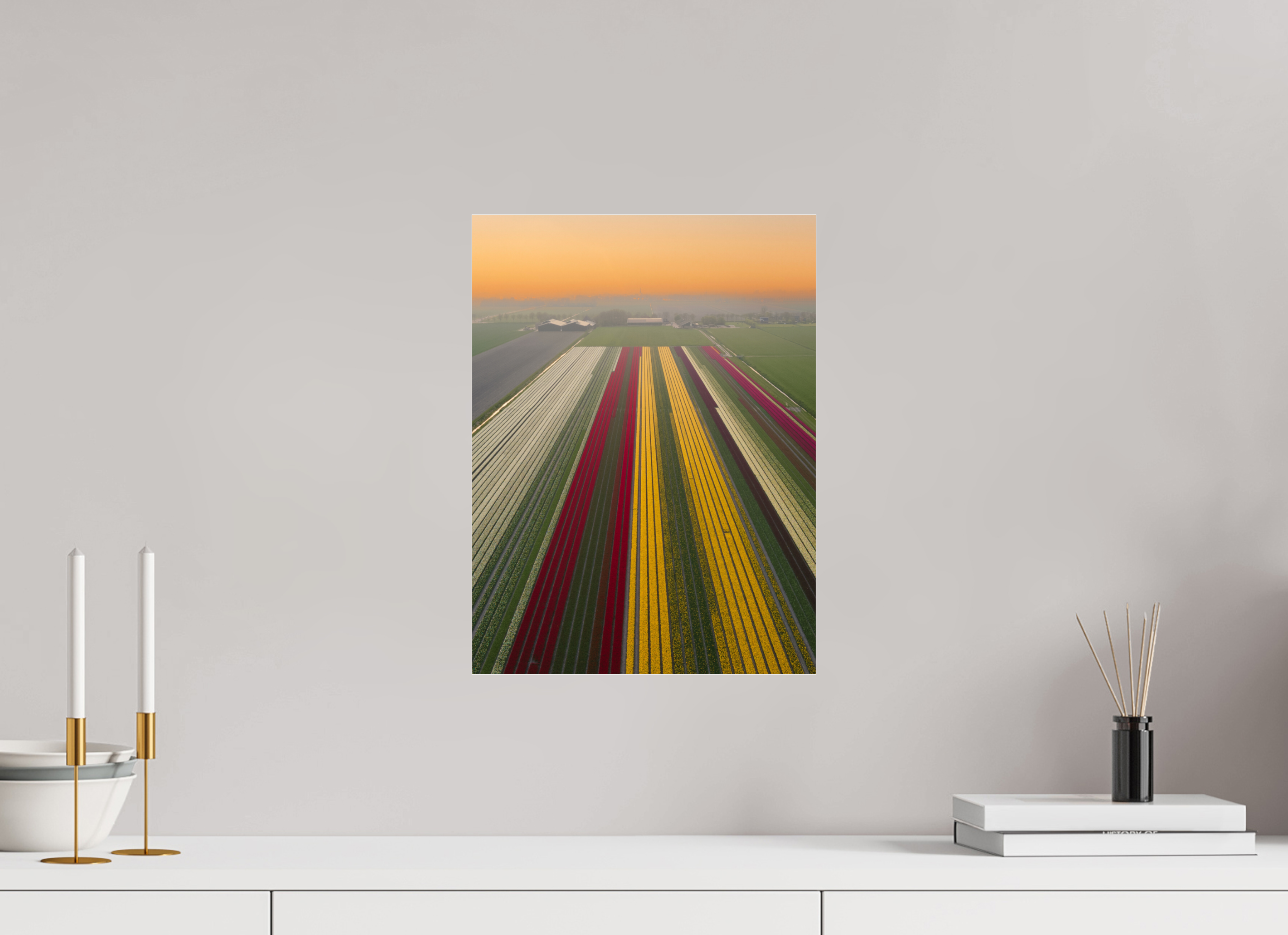30 x 40 cm, Photo Print Under Acrylic Glass Tulip Mania Netherlands
