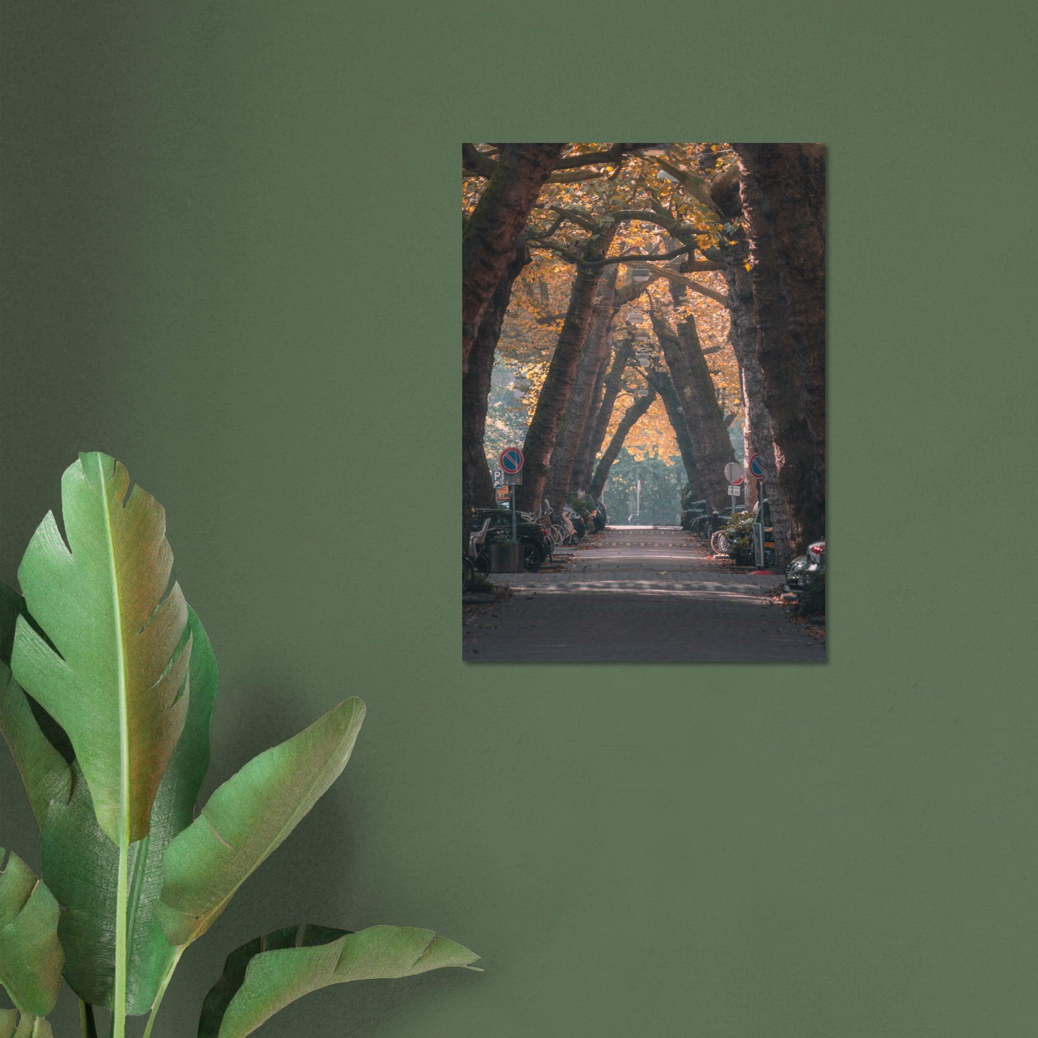 Autumn in Lomanstraat | Amsterdam - Etem Visuals