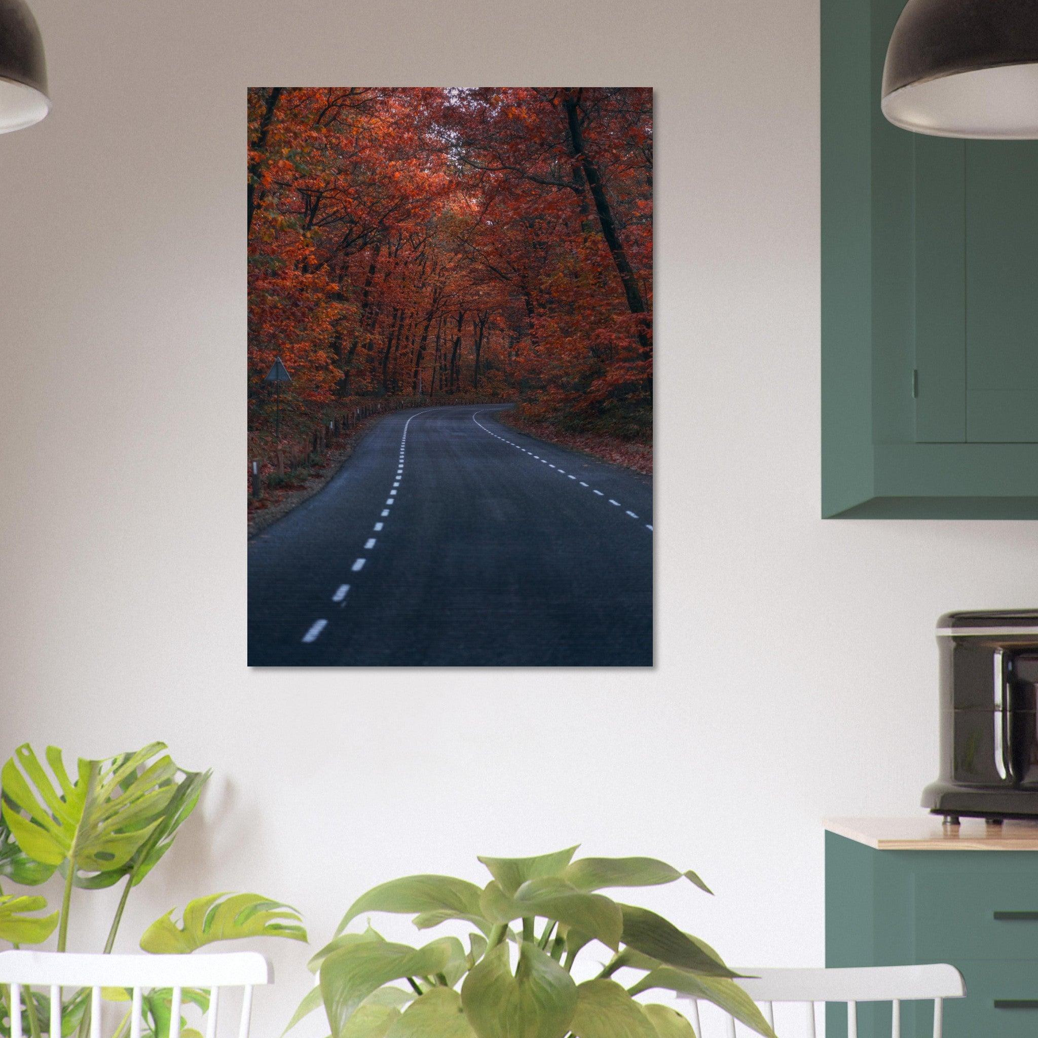 Autumn in The Netherlands - Etem Visuals
