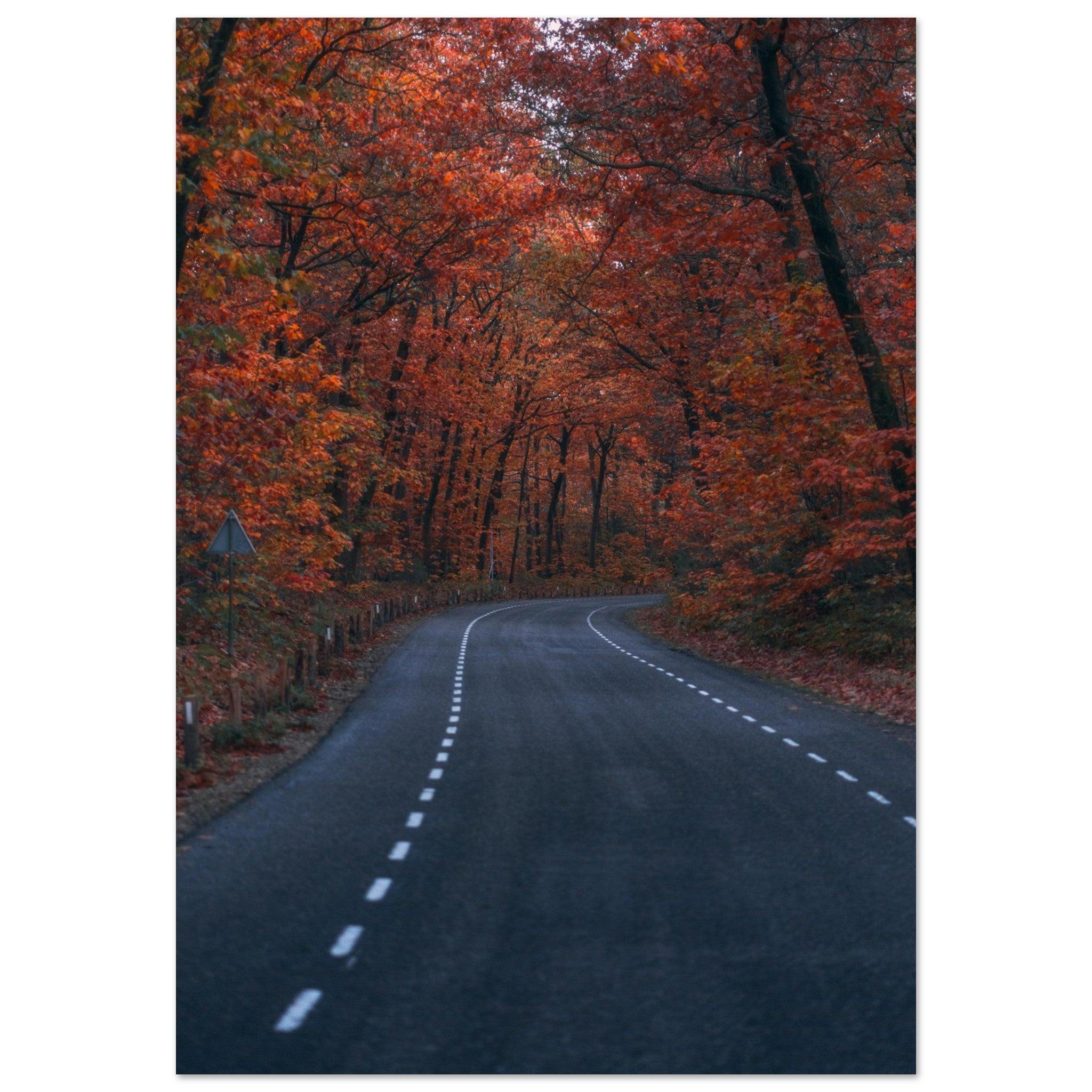 Autumn in The Netherlands - Etem Visuals