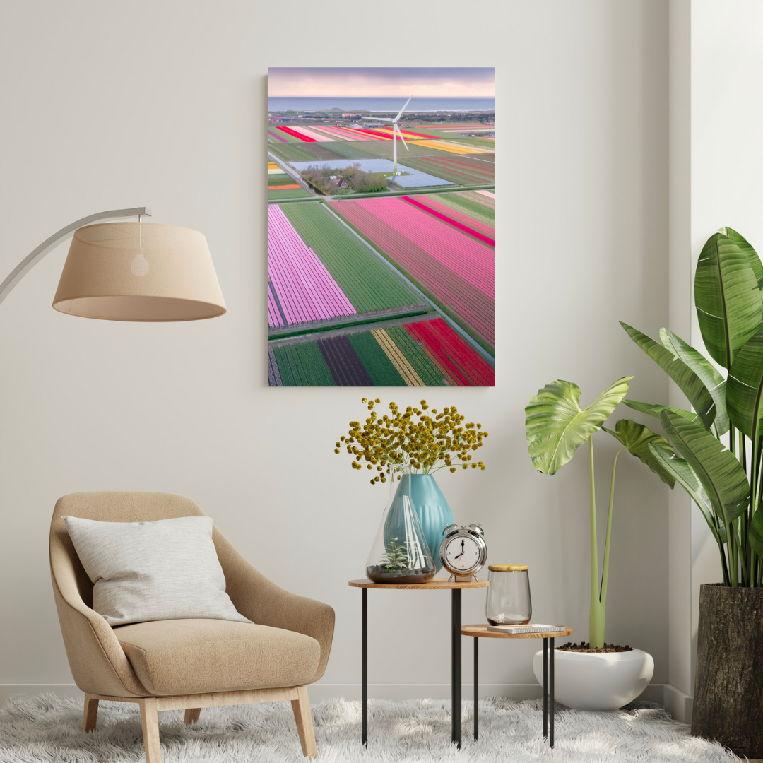 Etem Visuals - Colourful Tulip Gardens | Netherlands