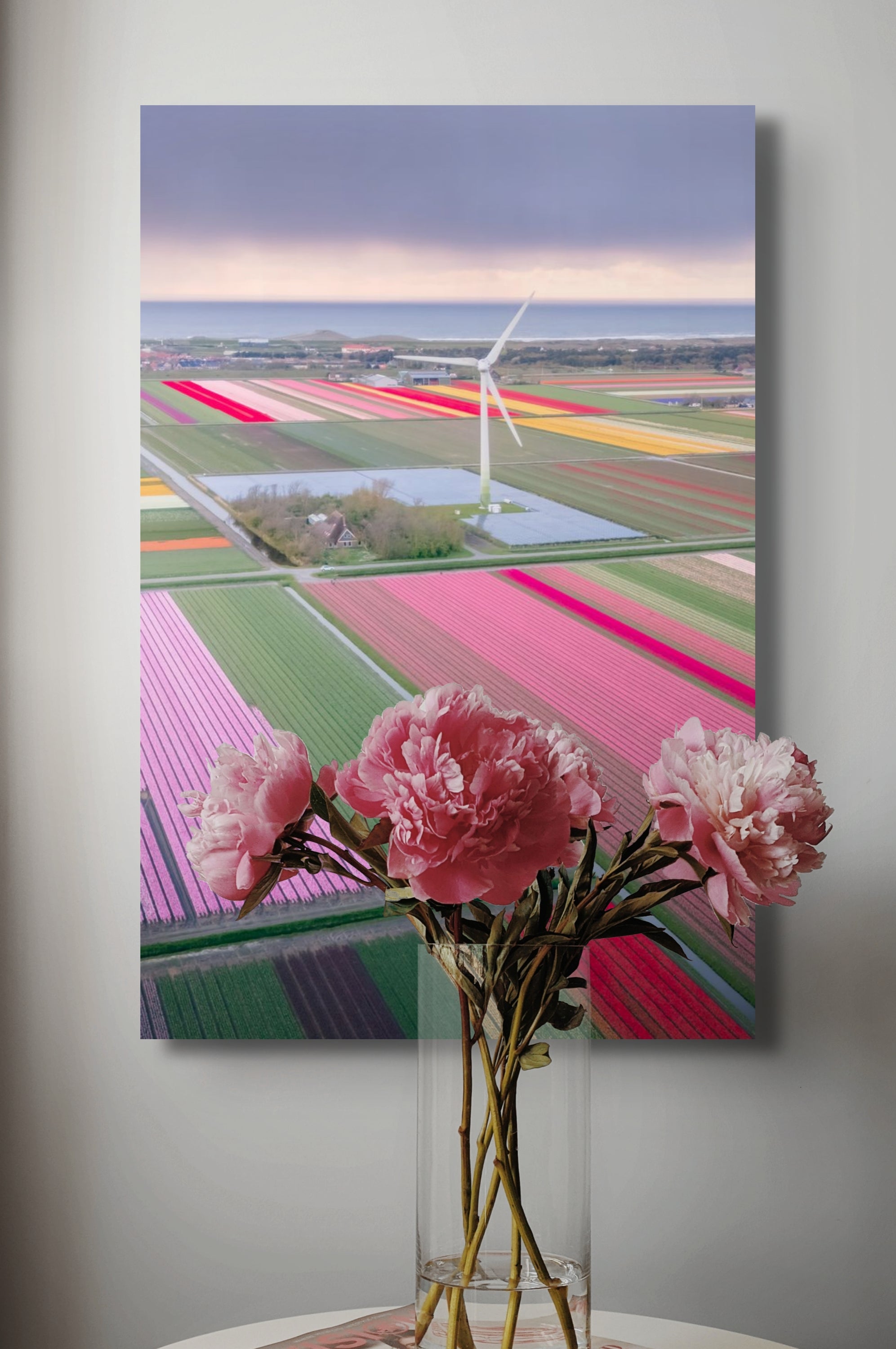 Colourful Tulip Gardens | Netherlands