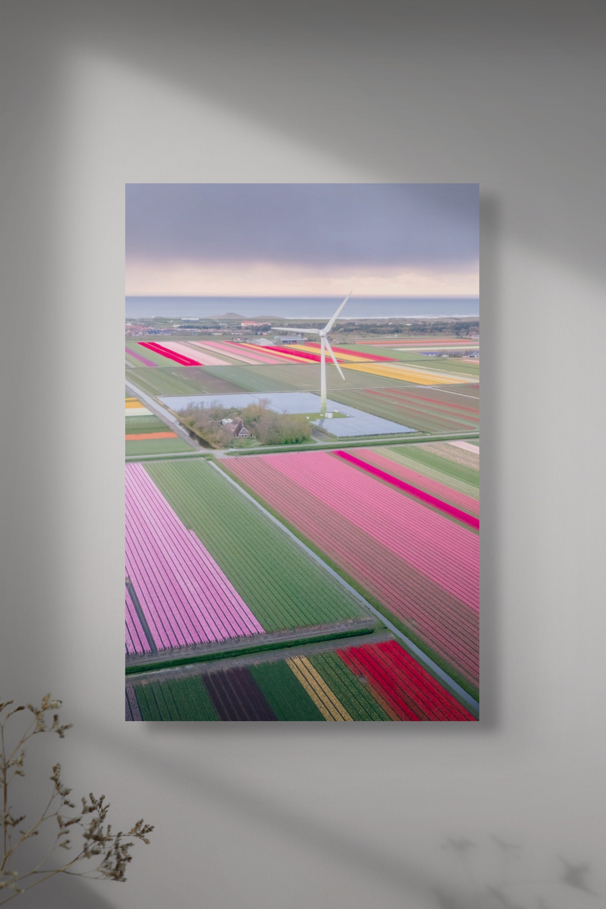 Colourful Tulip Gardens | Netherlands