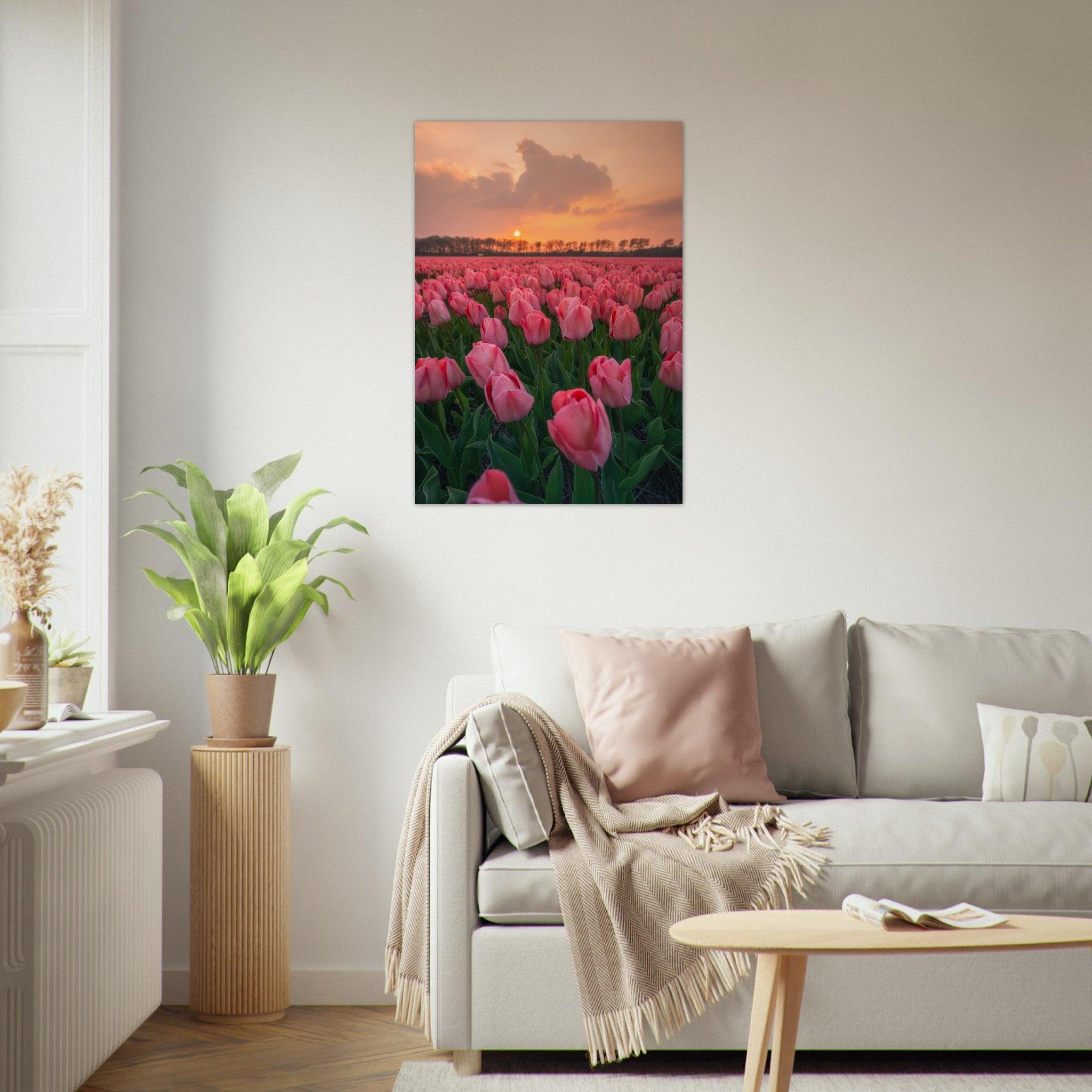 Dreamy Pink Tulips | Netherlands - Etem Visuals