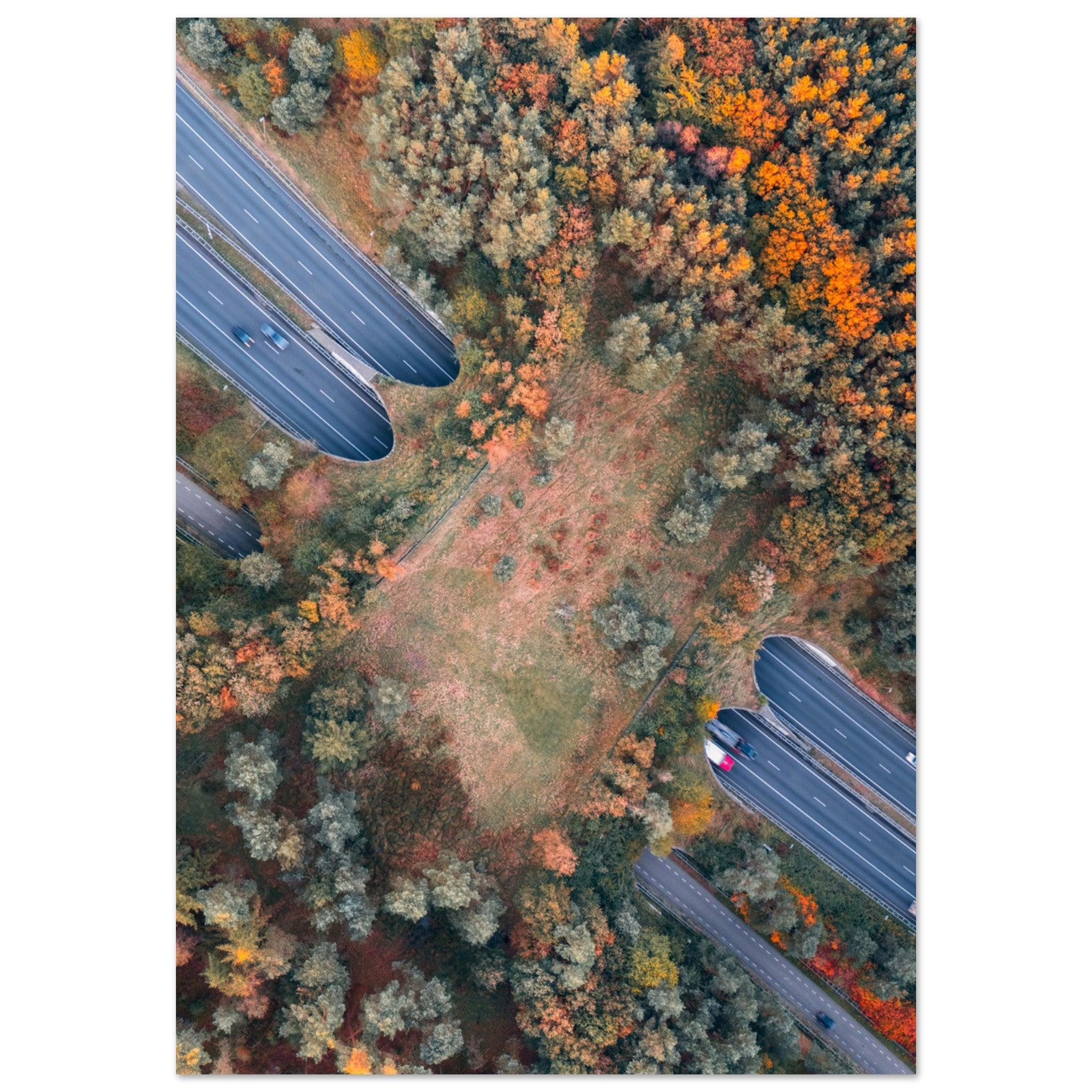 Nature Bridges of The Netherlands - Etem Visuals