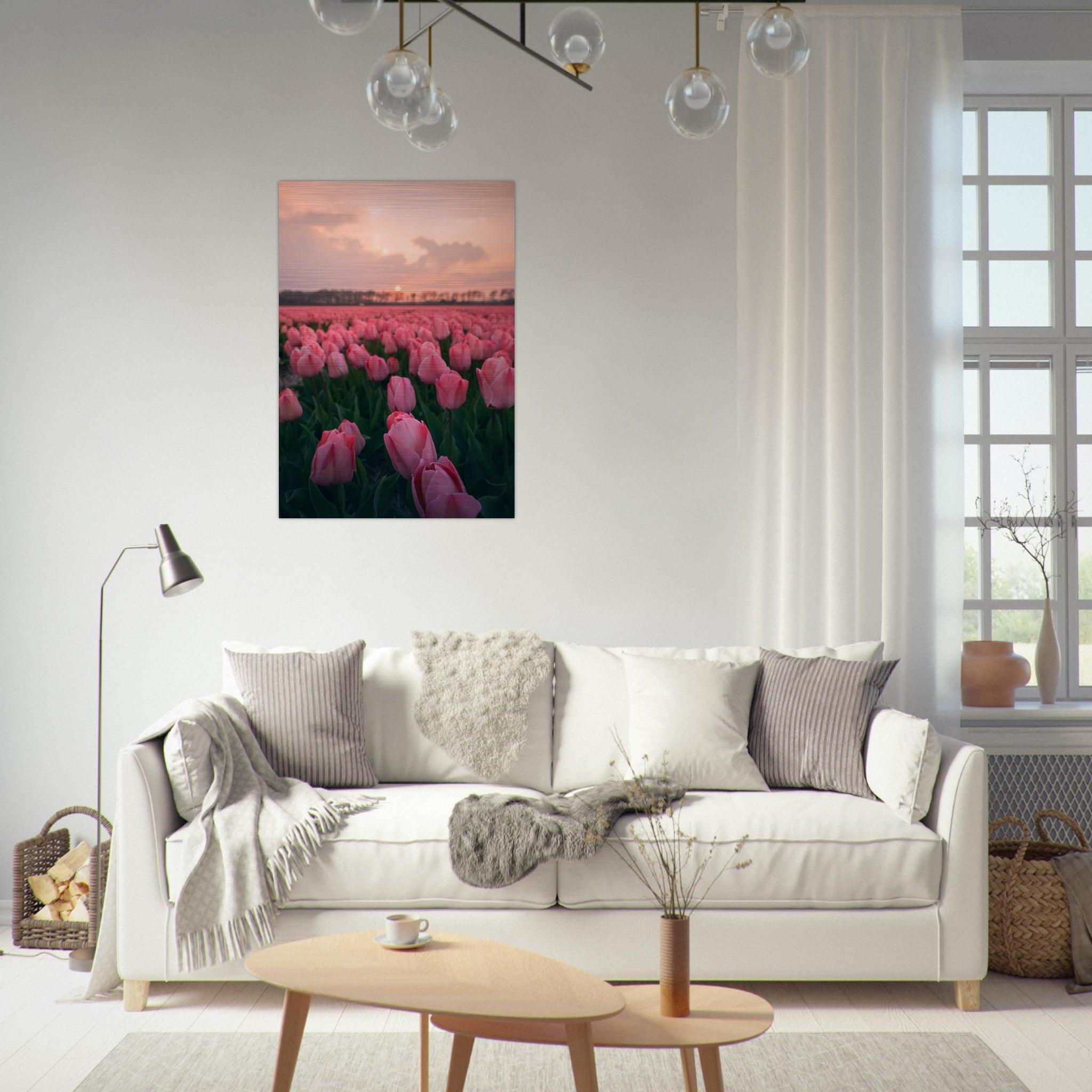 Pink Dreams | Netherlands - Etem Visuals