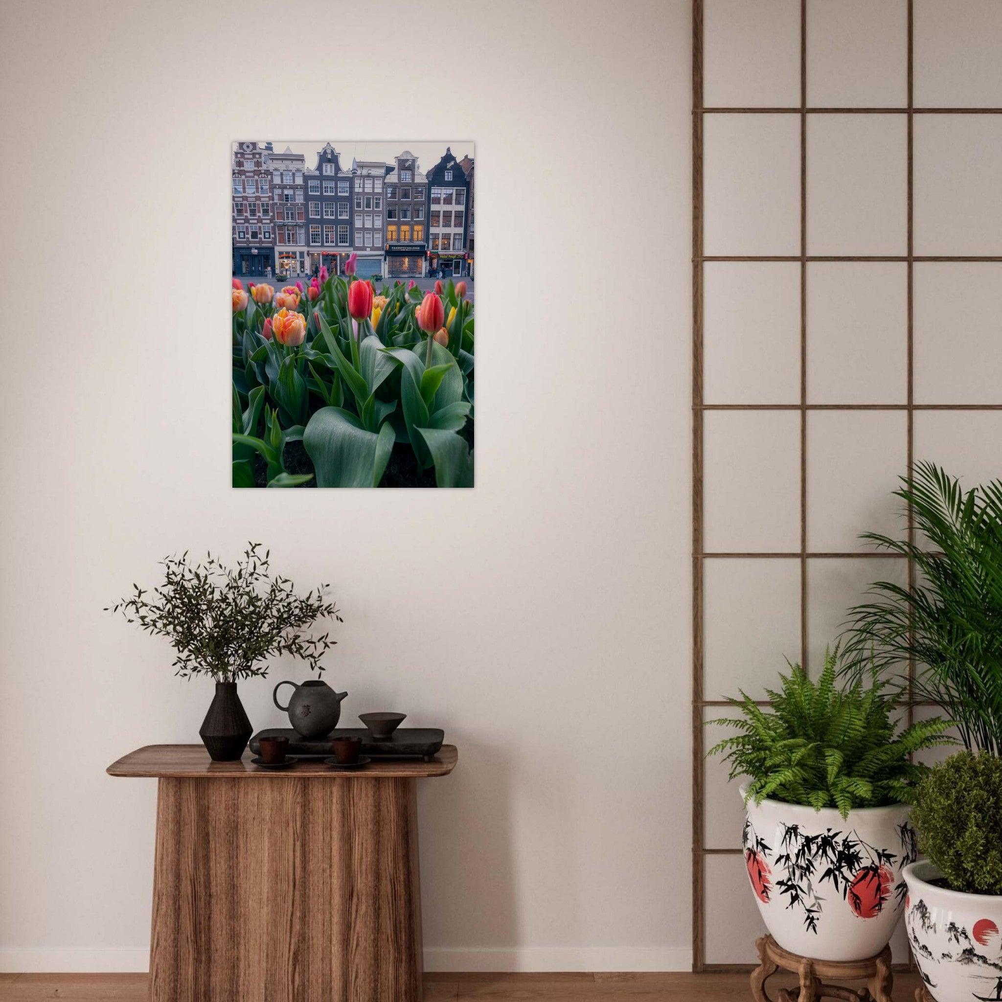 Spring in Amsterdam - Etem Visuals