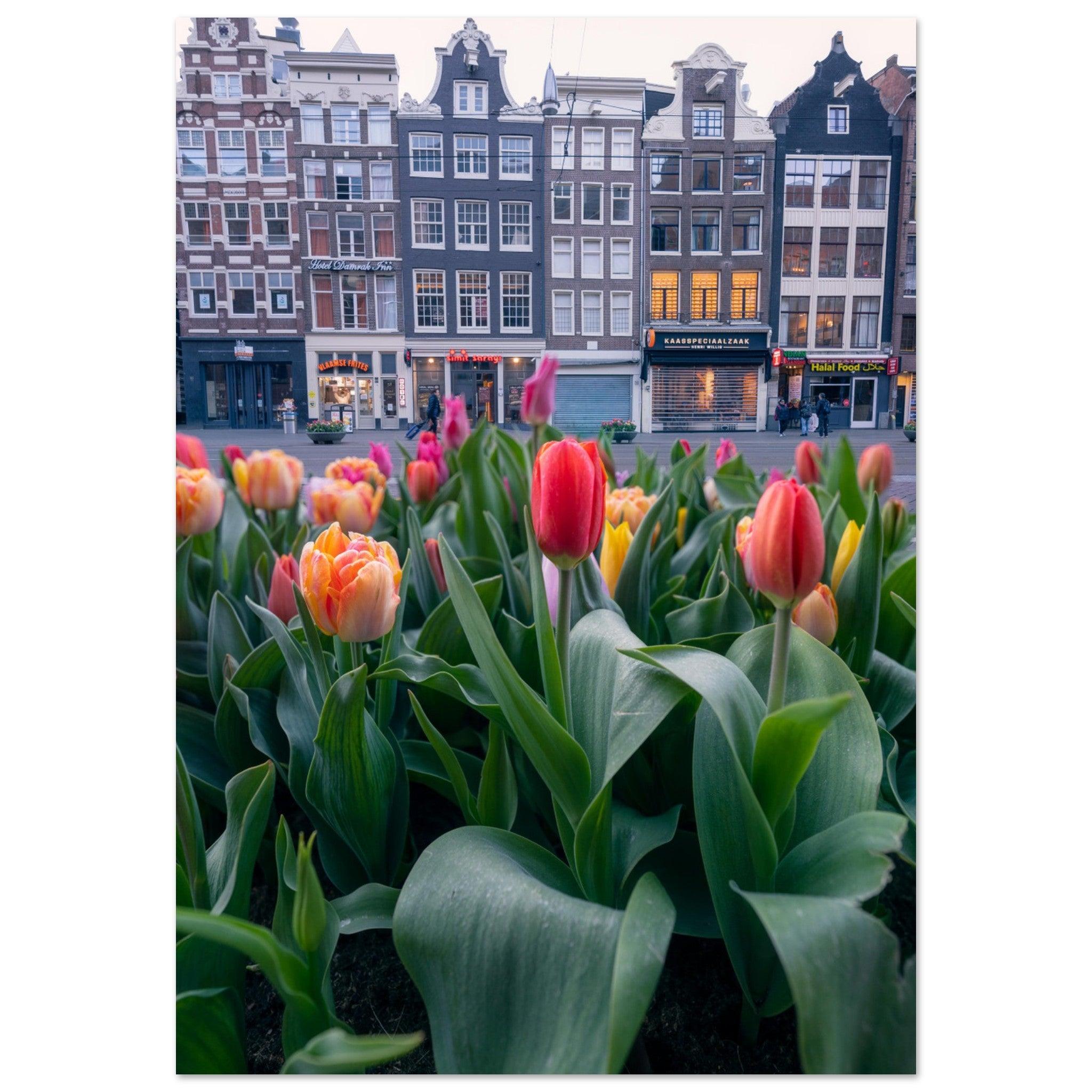 Spring in Amsterdam - Etem Visuals