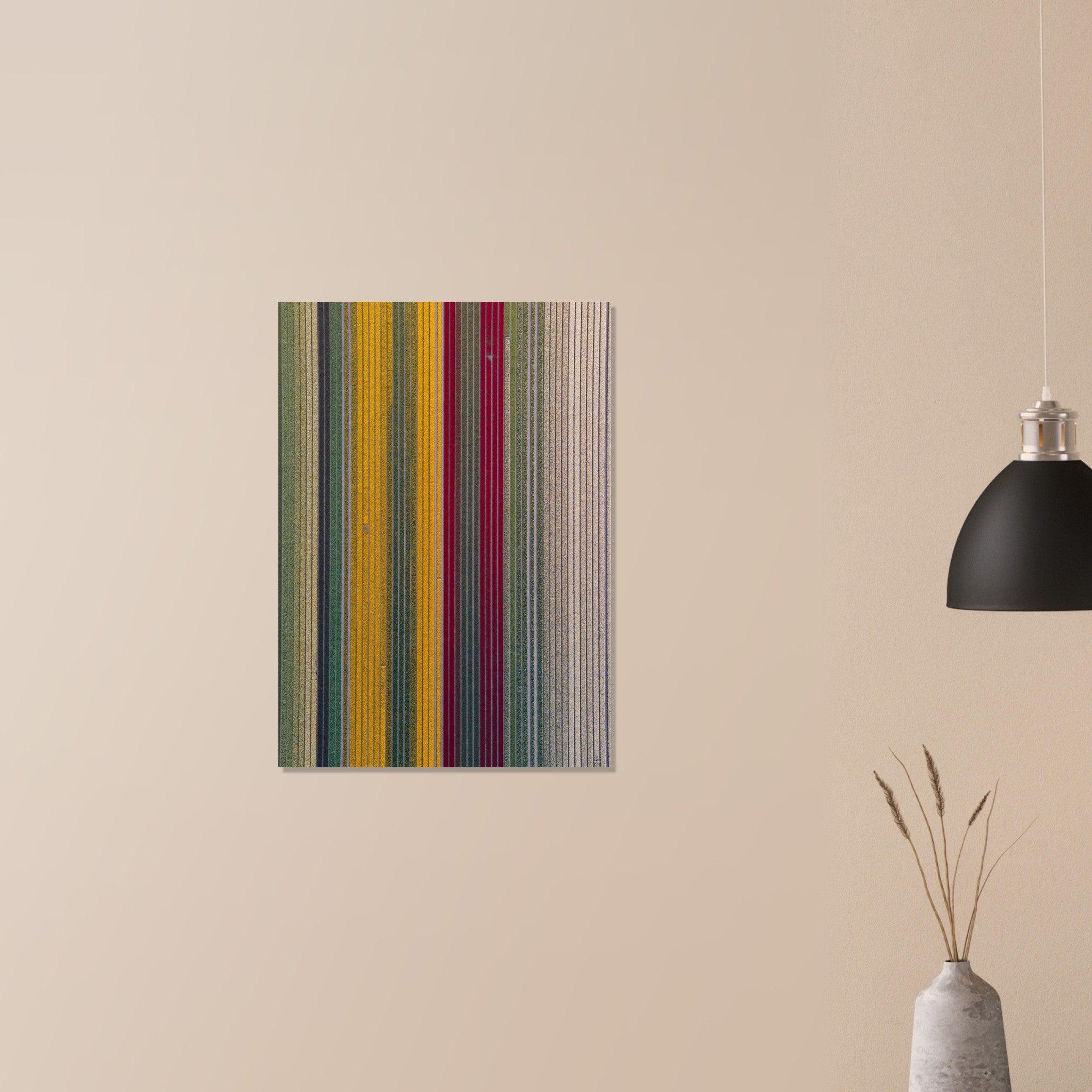 The Tulip Carpet | Netherlands - Etem Visuals