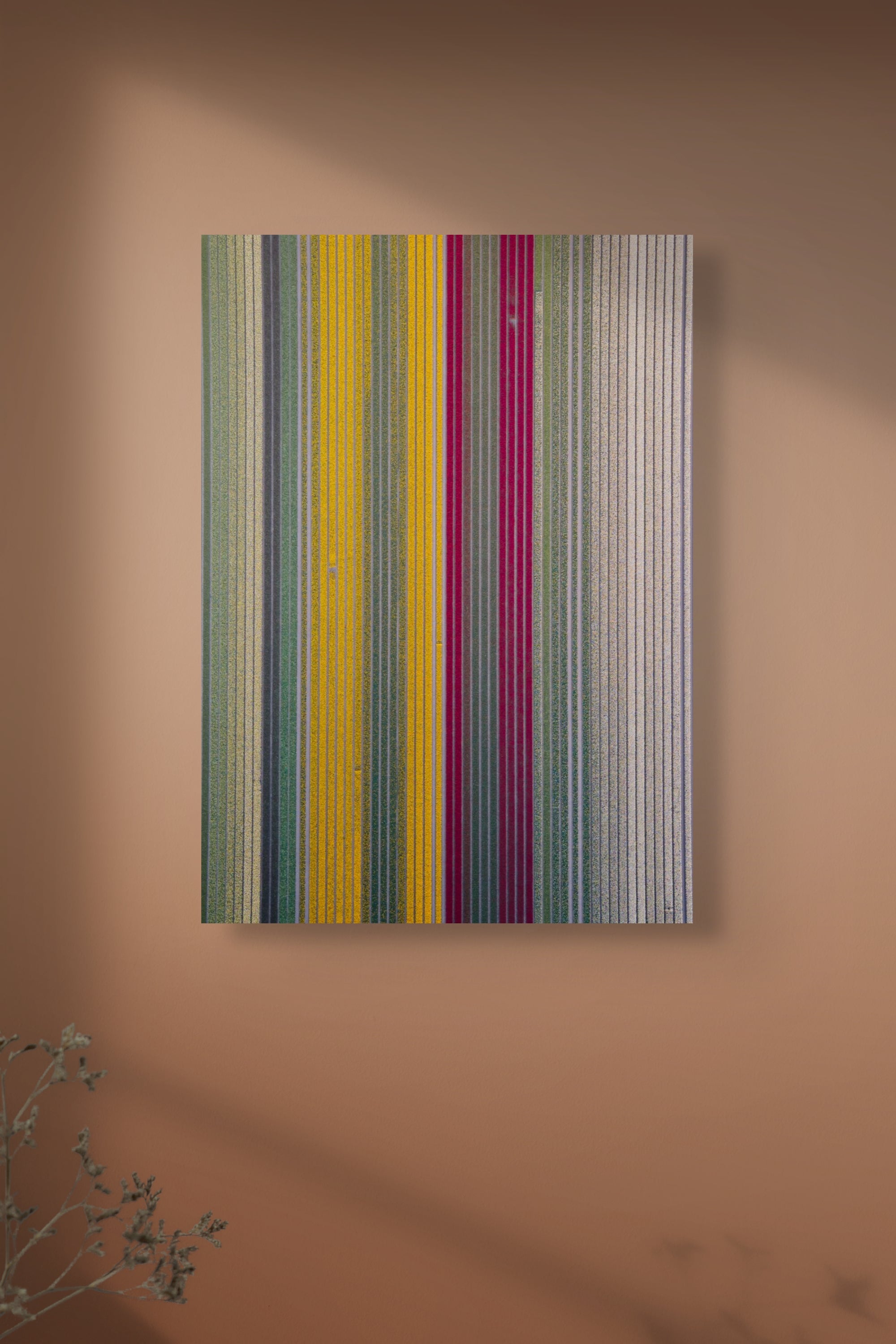 The Tulip Carpet | Netherlands