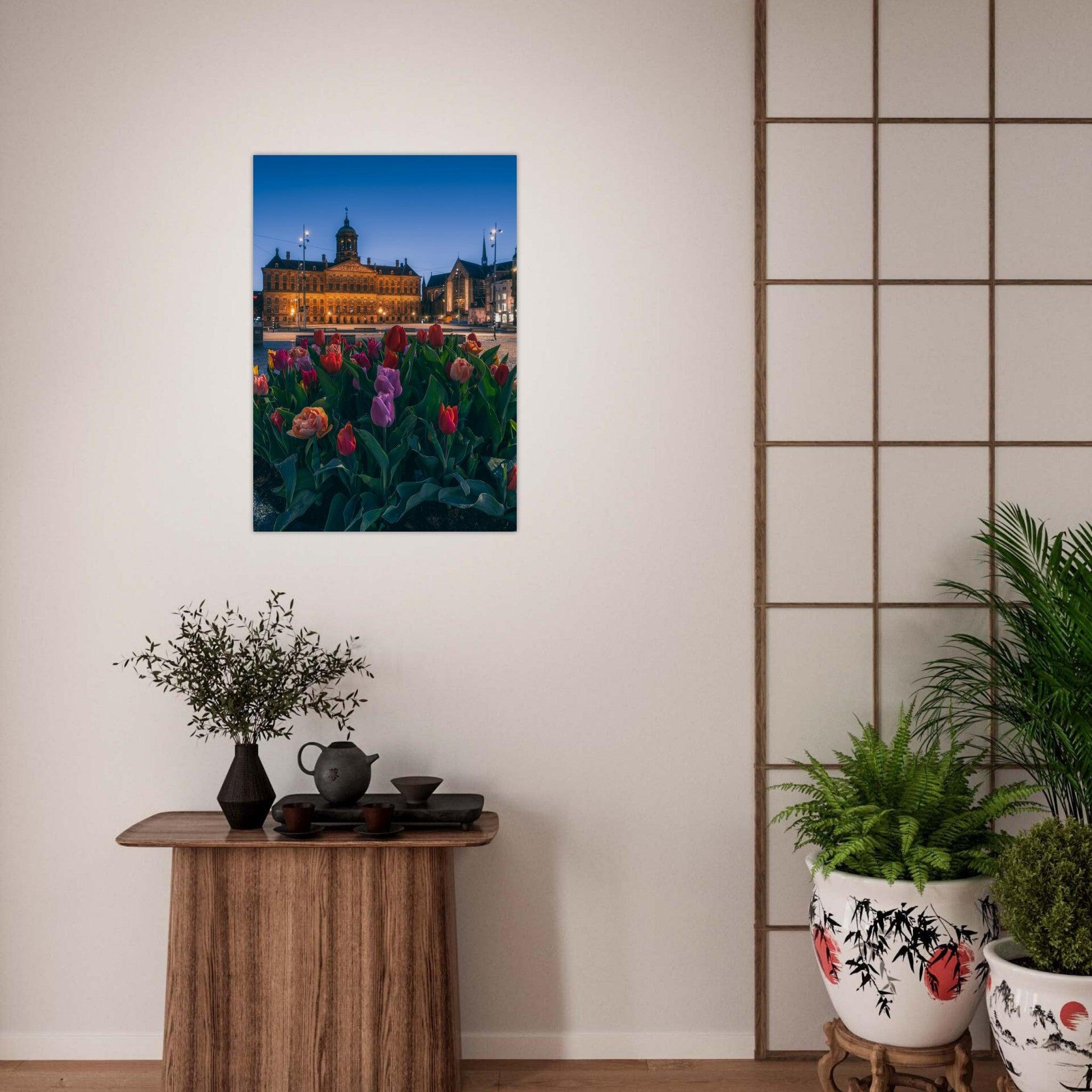 Tulips Square | Amsterdam - Etem Visuals