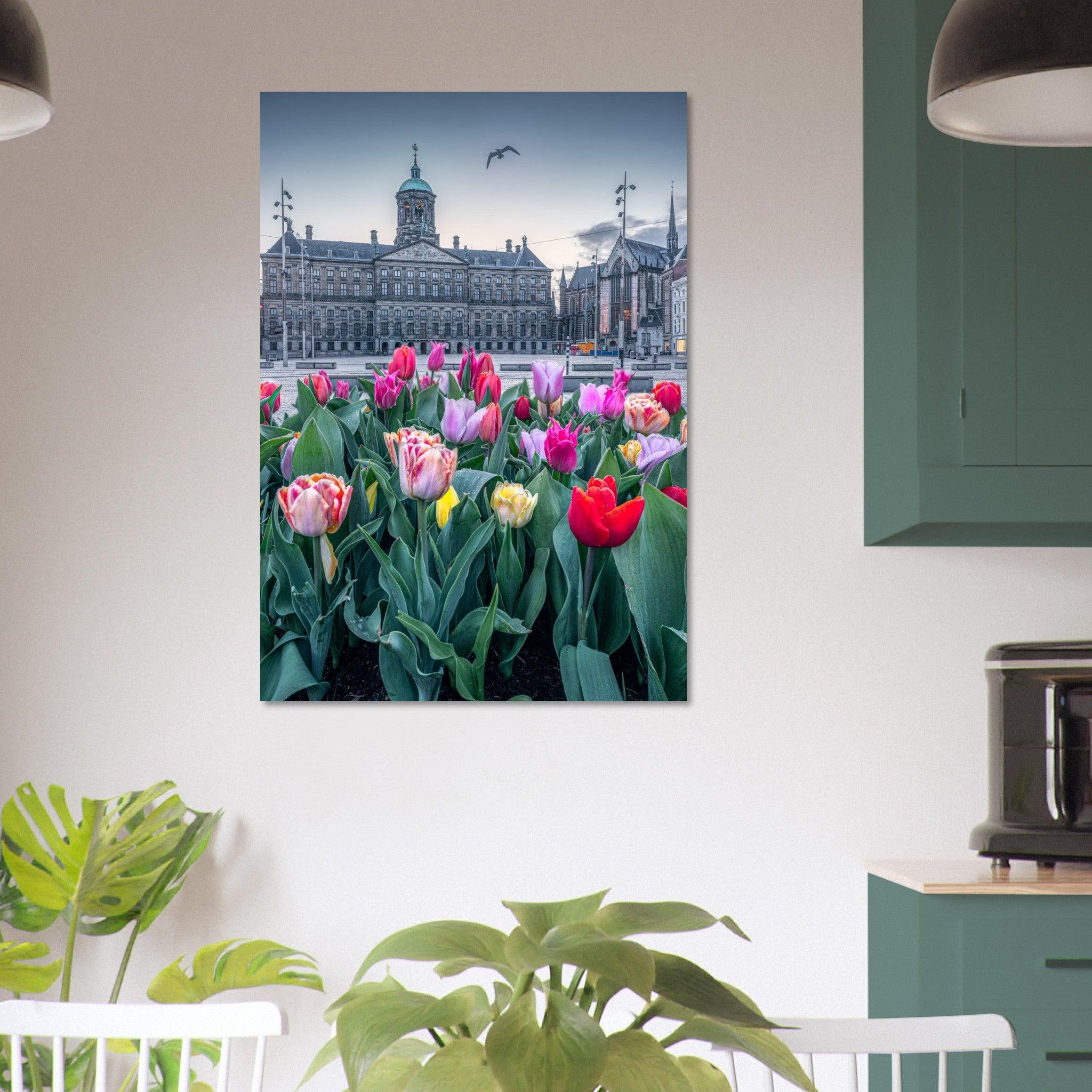 Tulips Square - II | Amsterdam - Etem Visuals