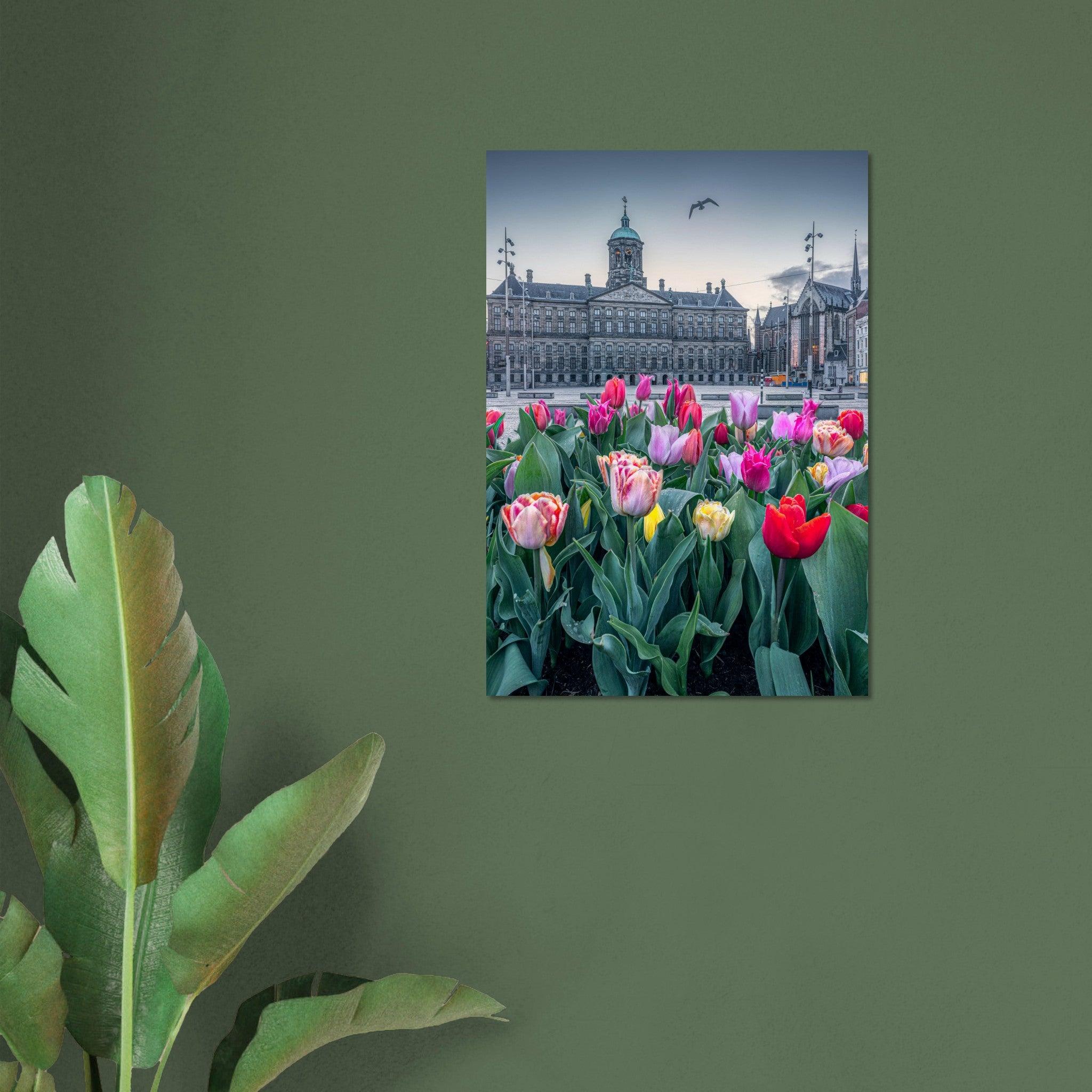 Tulips Square - II | Amsterdam - Etem Visuals