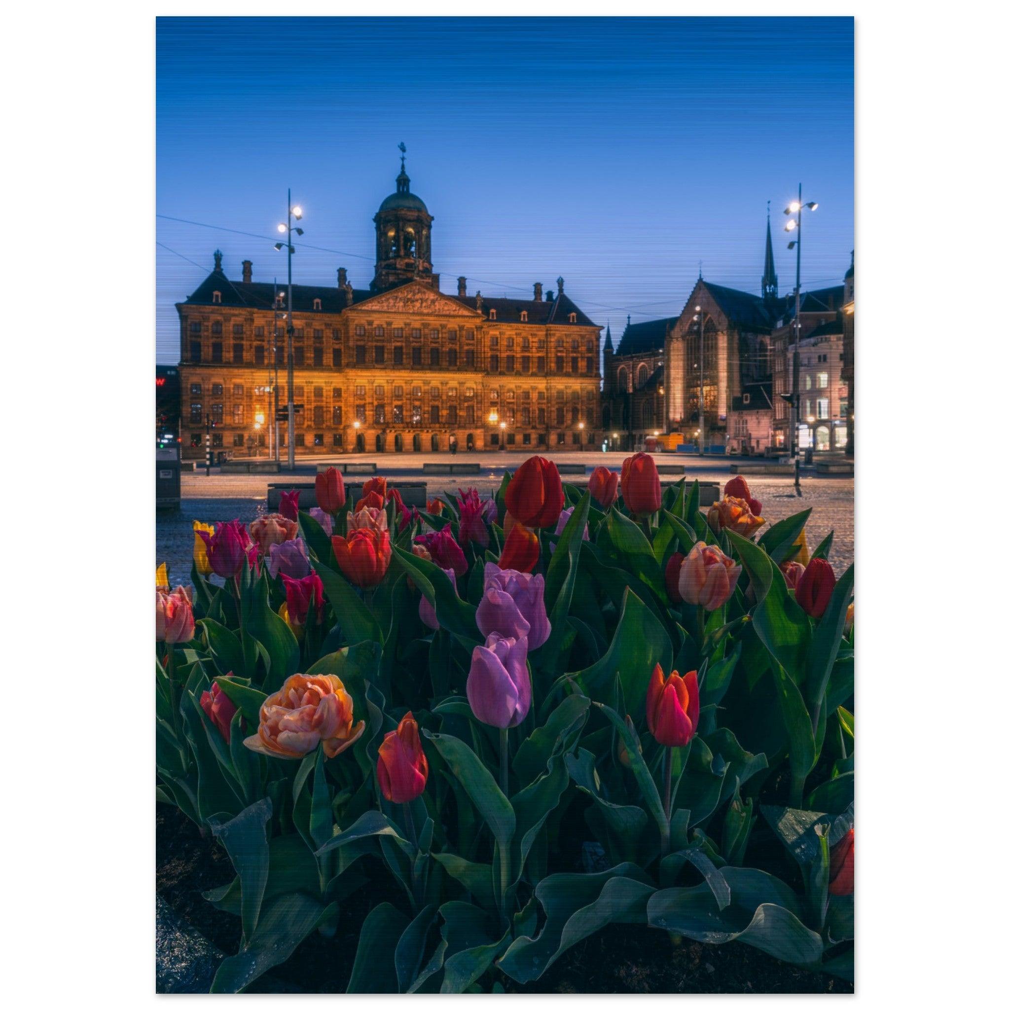 Tulips Square | Amsterdam - Etem Visuals