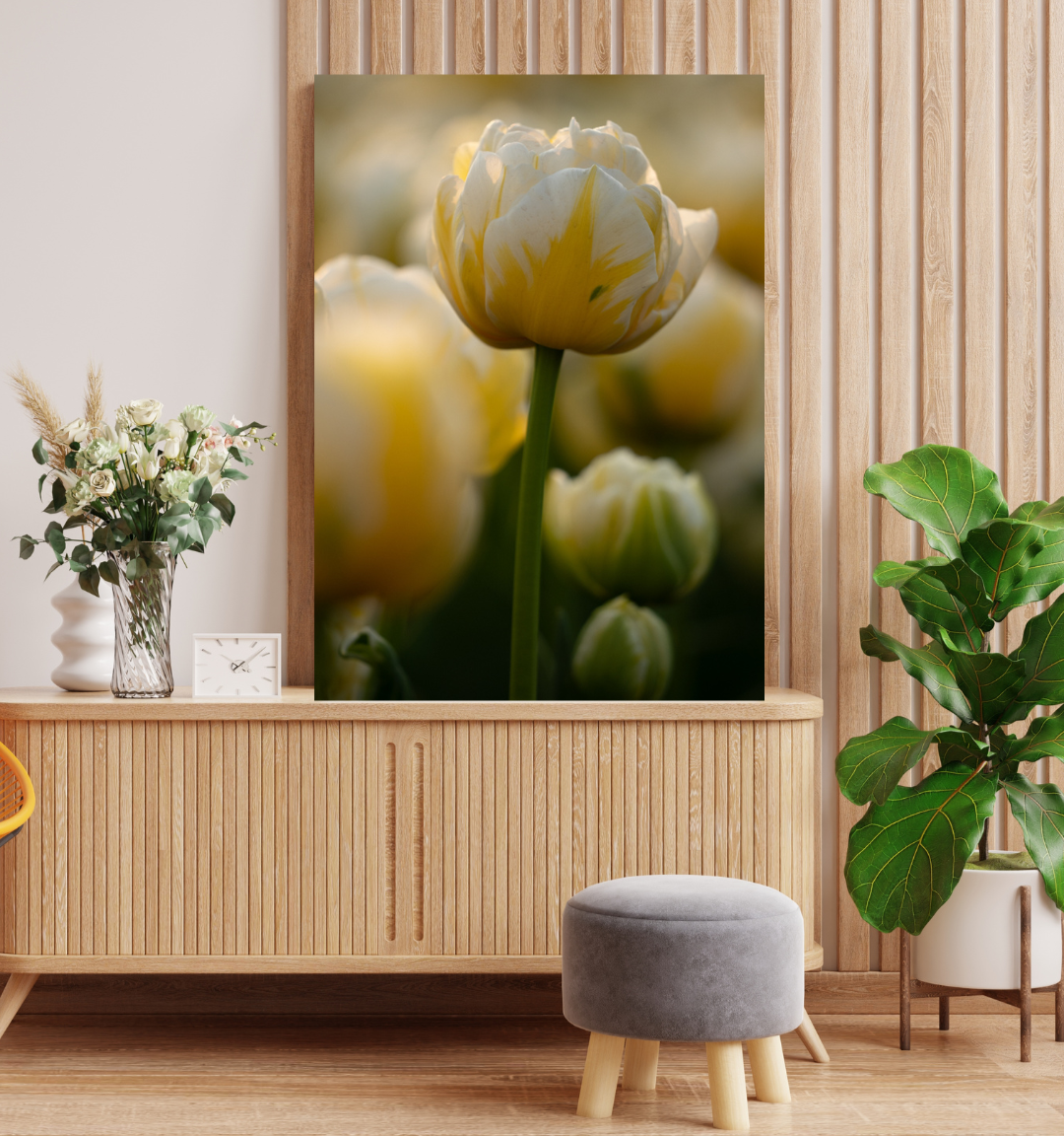 Etem Visuals - Yellow and White Tulip Elegance | Netherlands