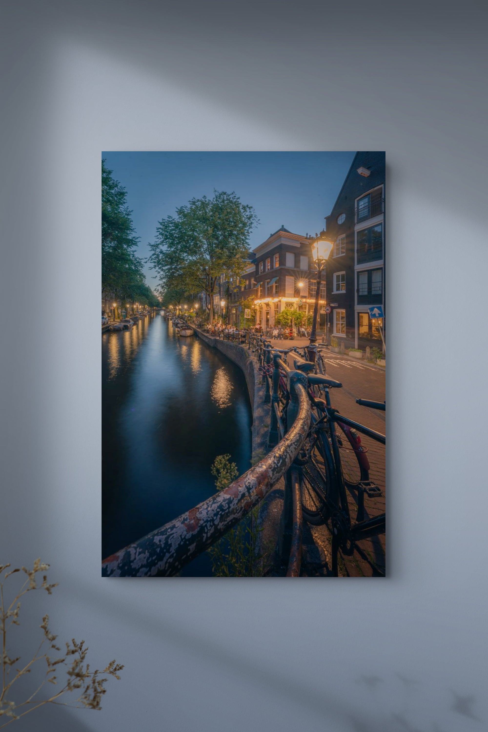 Summer Nights in Egelantiersgracht | Amsterdam