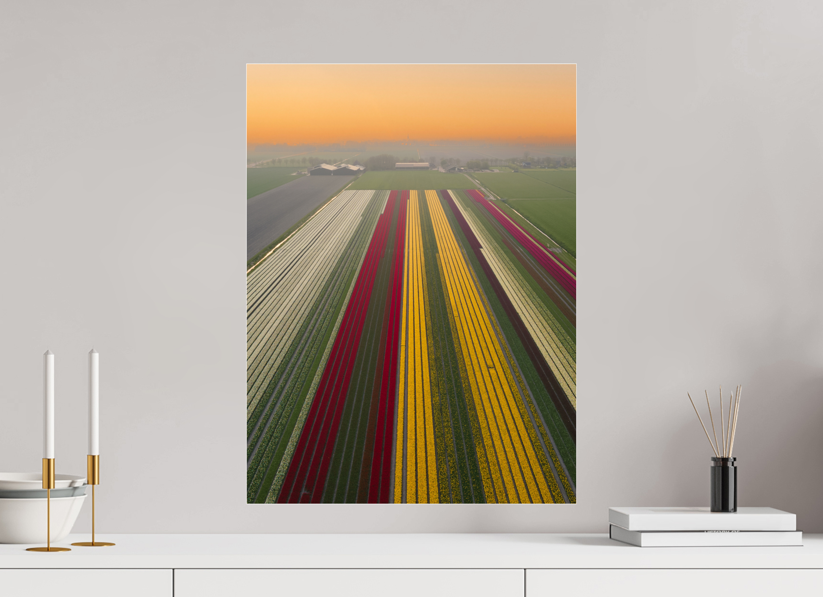 45 x 60 cm, Photo Print Under Acrylic Glass Tulip Mania Netherlands