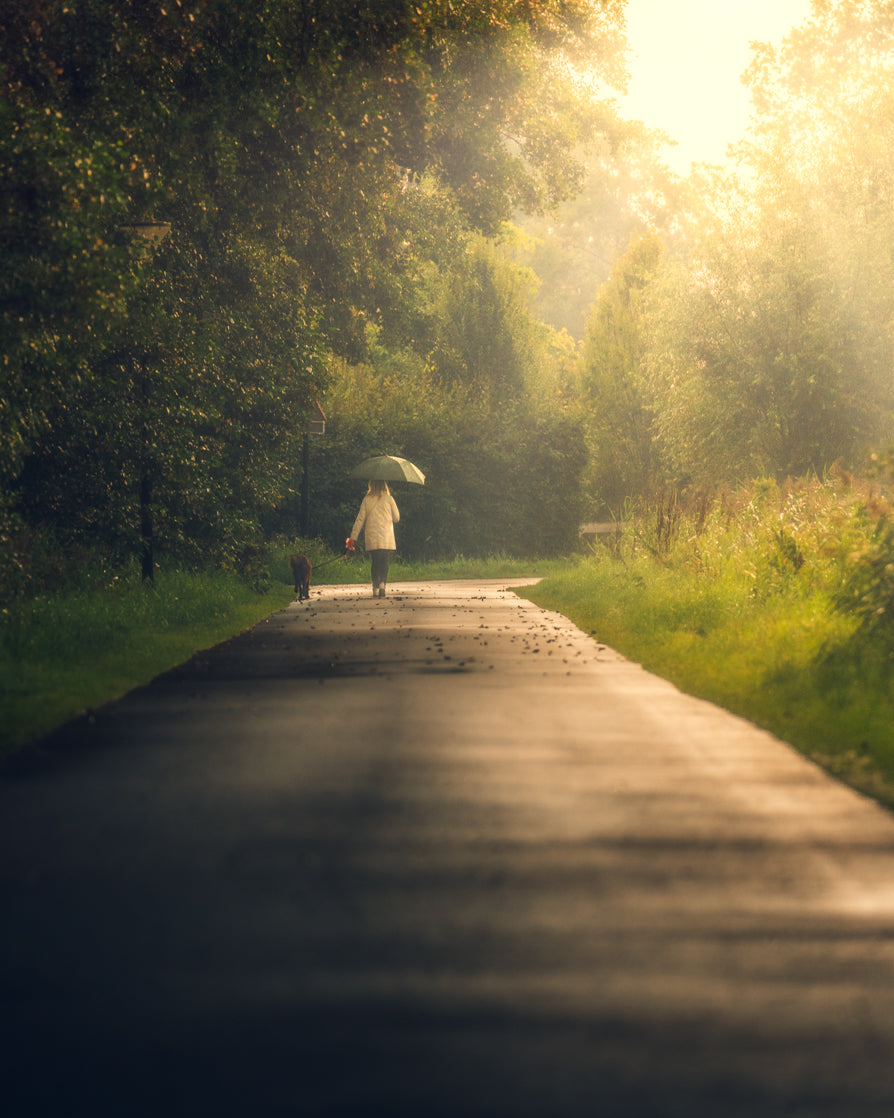 Etem Visuals - A Walk After the Rain in Giethoorn | Netherlands