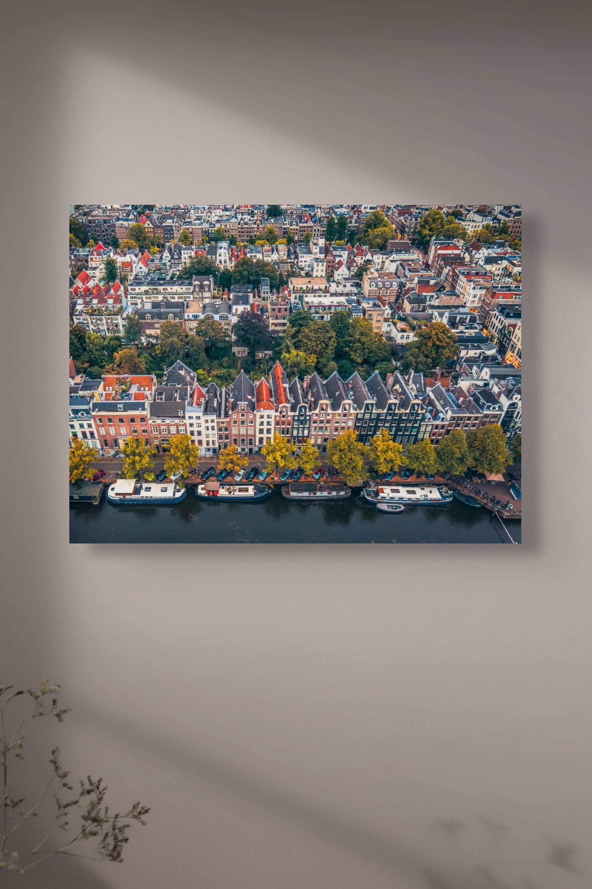 Bird's Eye Amsterdam