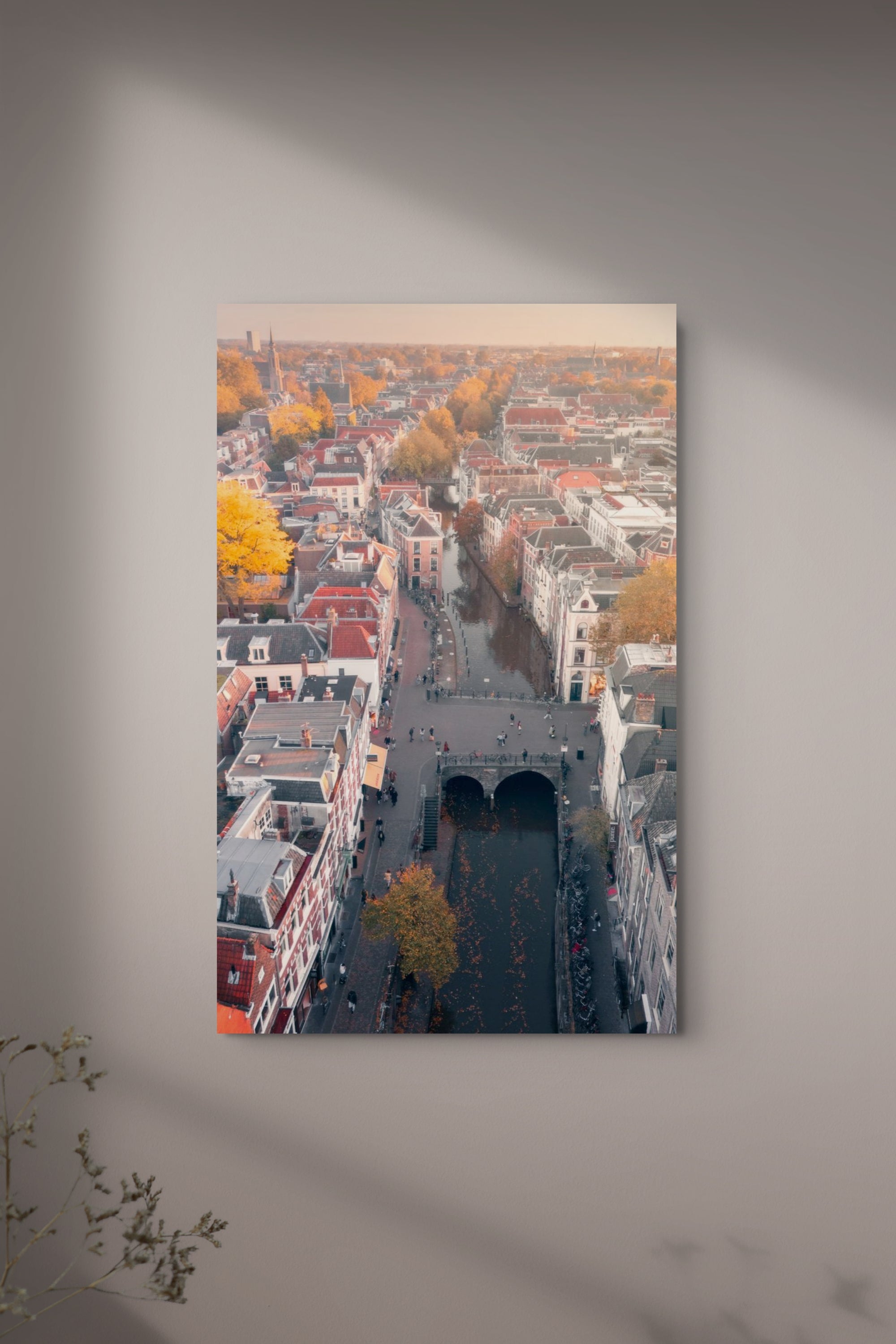 Bird's Eye Autumn in Utrecht | Netherlands