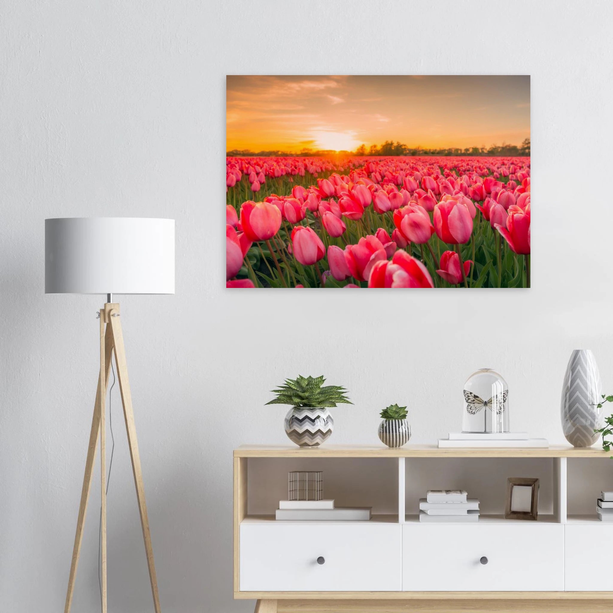 Etem Visuals - Dreamy Pink Tulips - 2025 | Netherlands