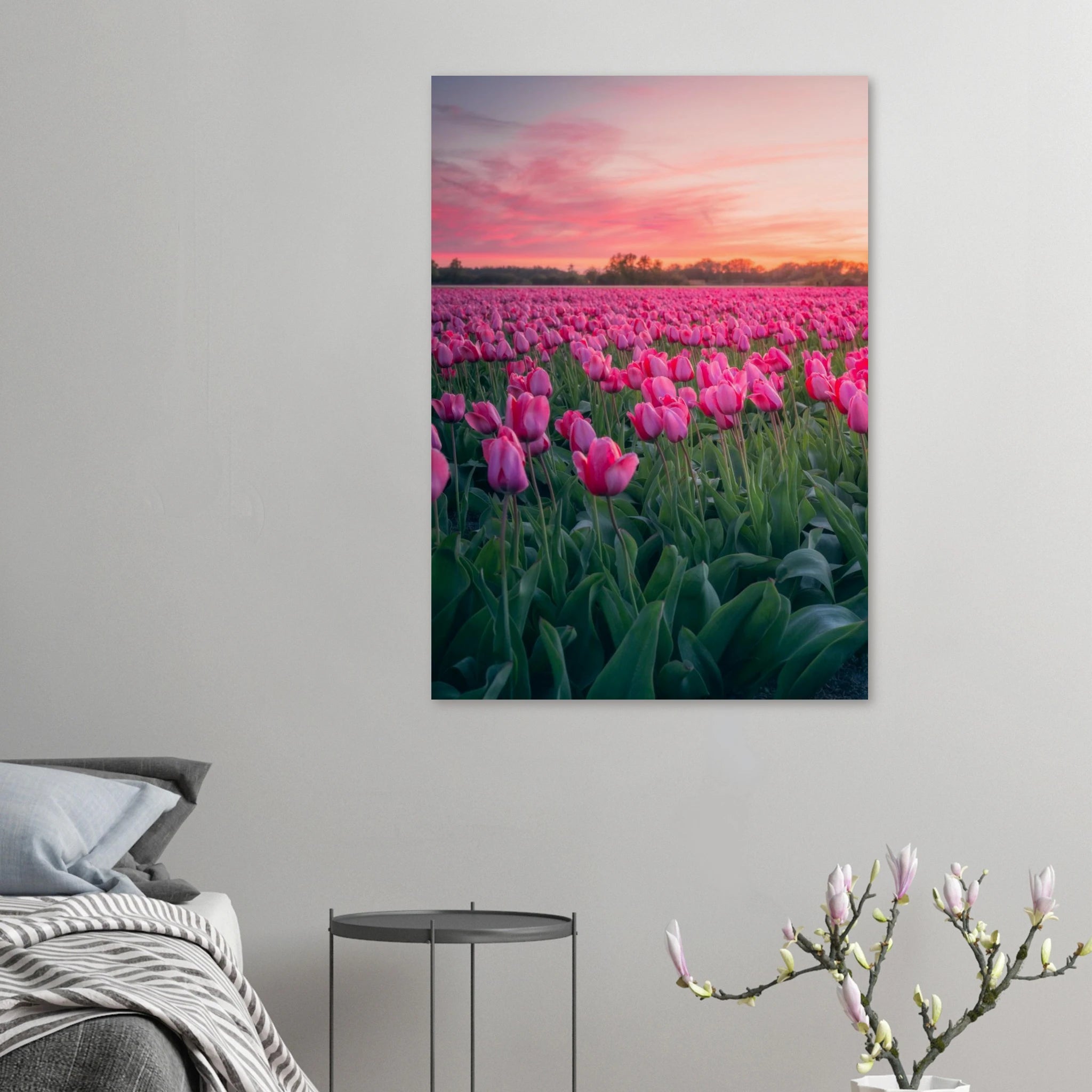 Etem Visuals - Endless Pink Tulips | Netherlands