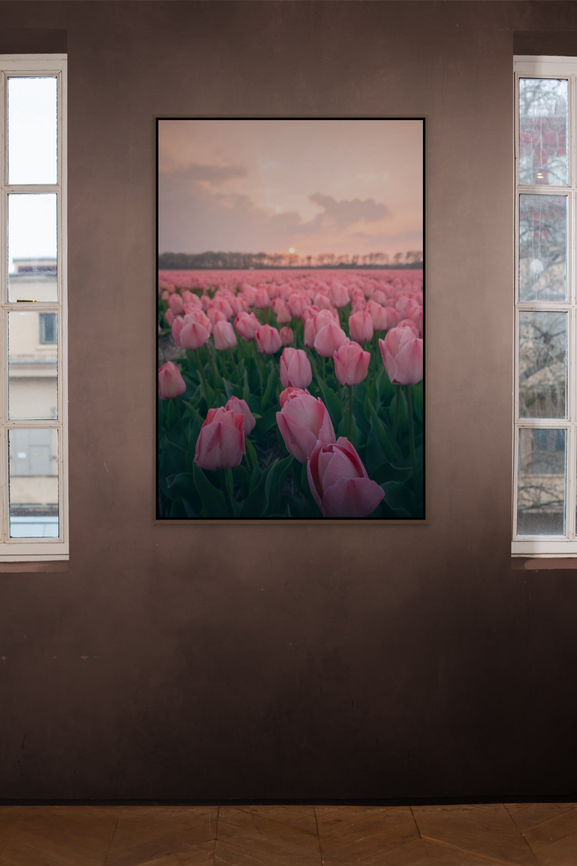 Pink Dreams | Netherlands