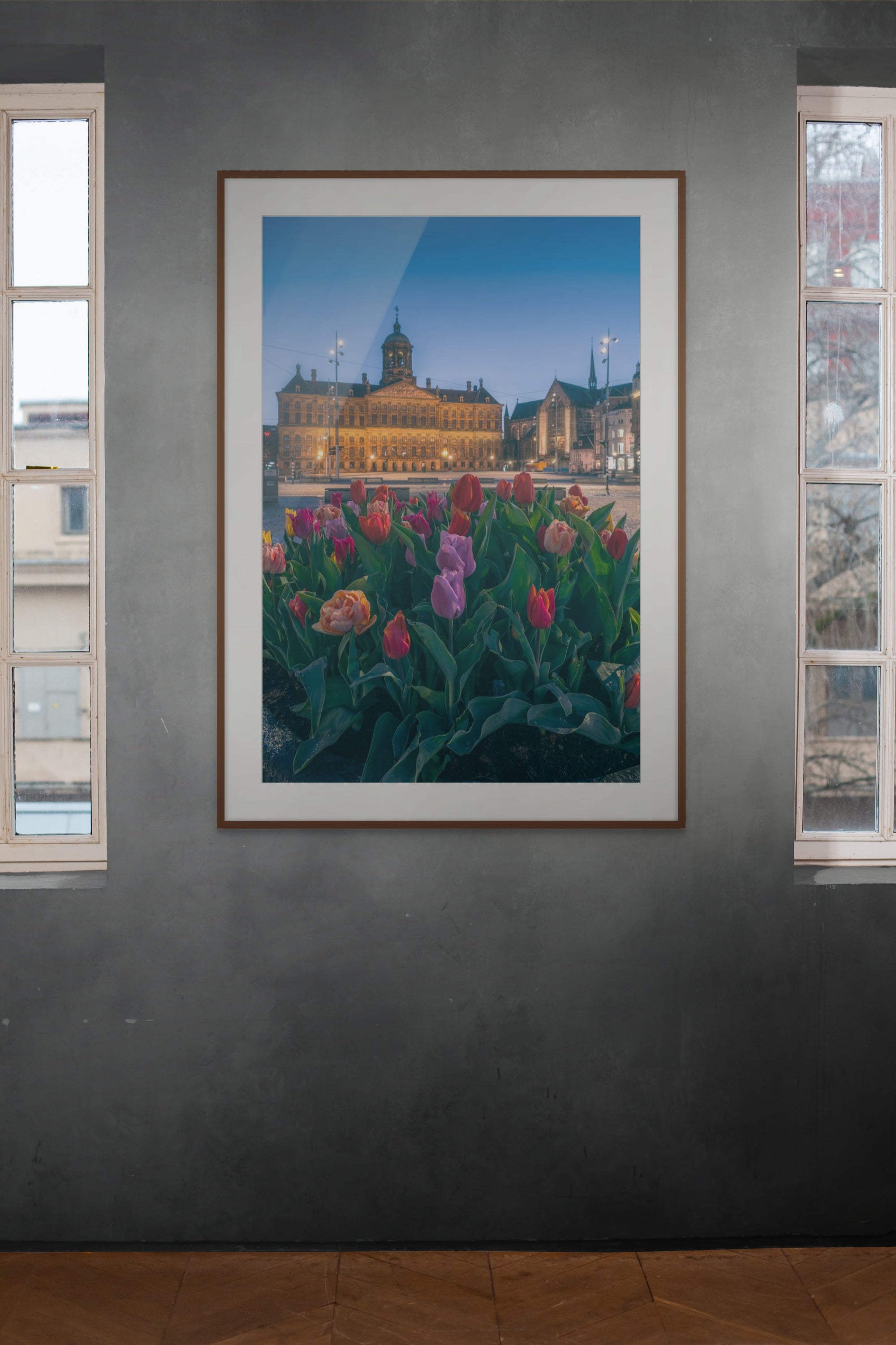 Tulips Square | Amsterdam