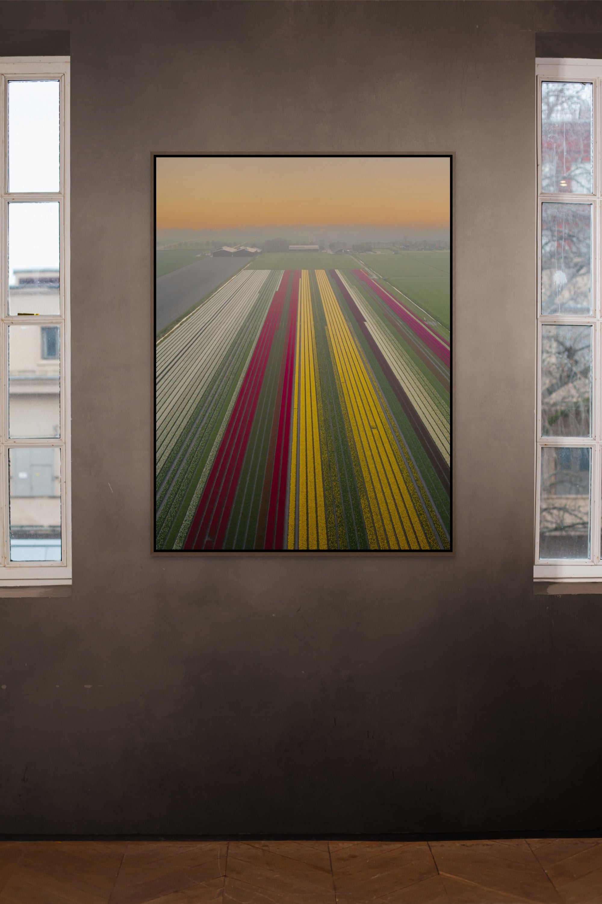 Tulip Mania | Netherlands