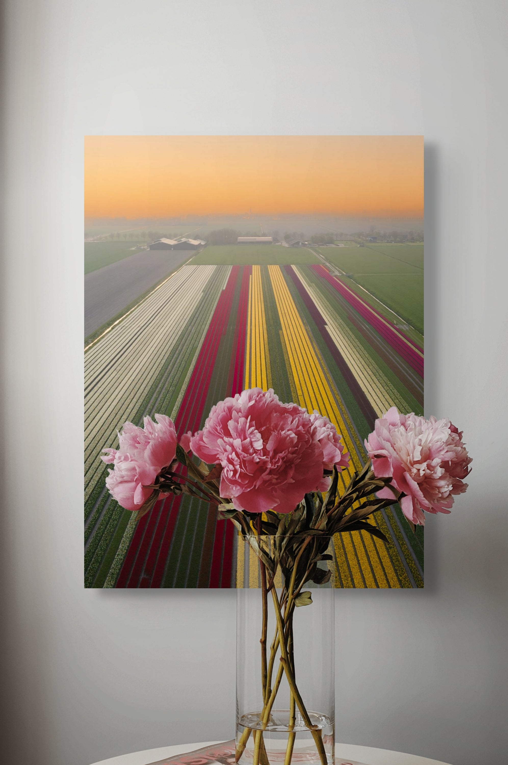 Tulip Mania | Netherlands