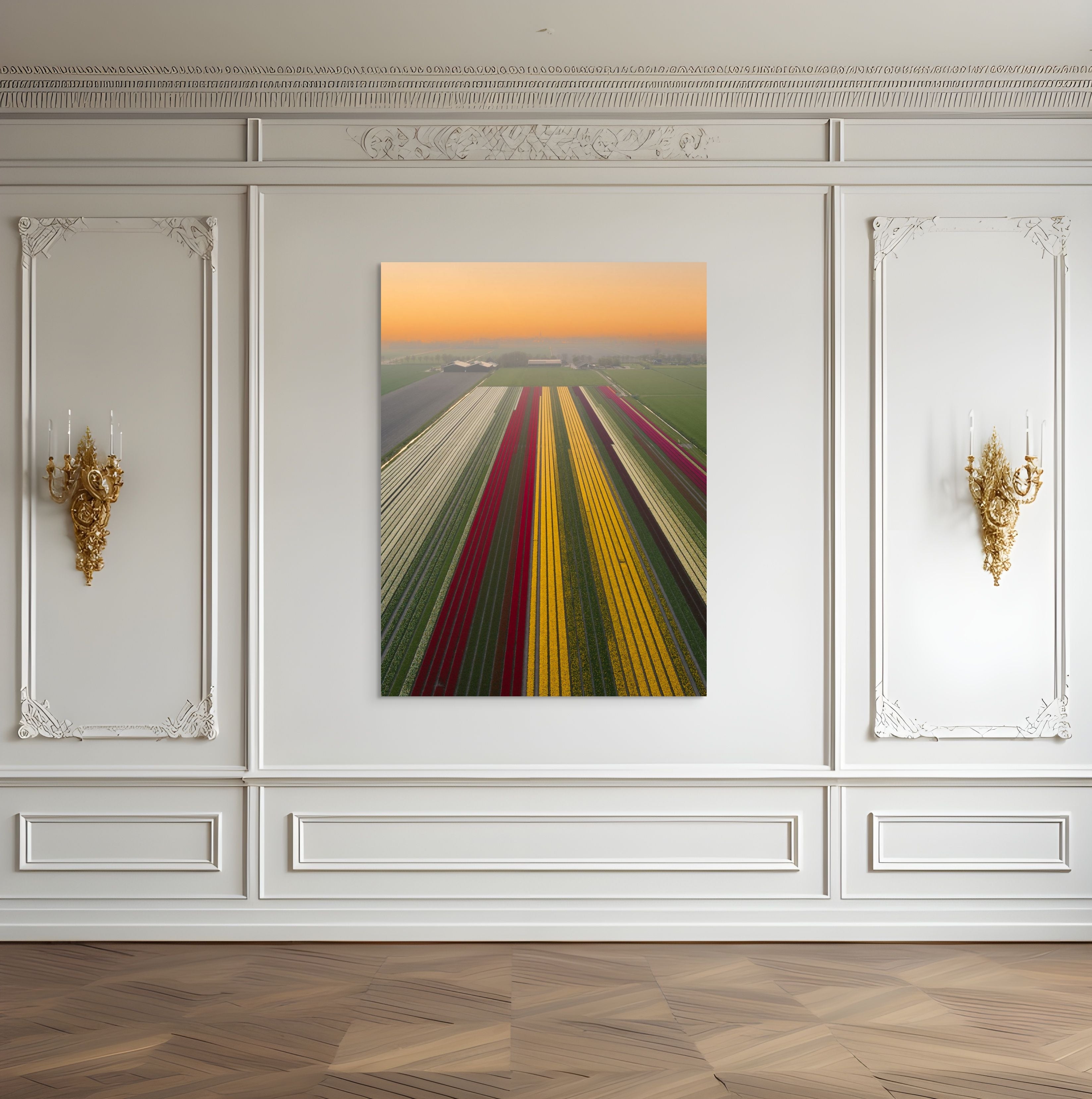 Tulip Mania | Netherlands